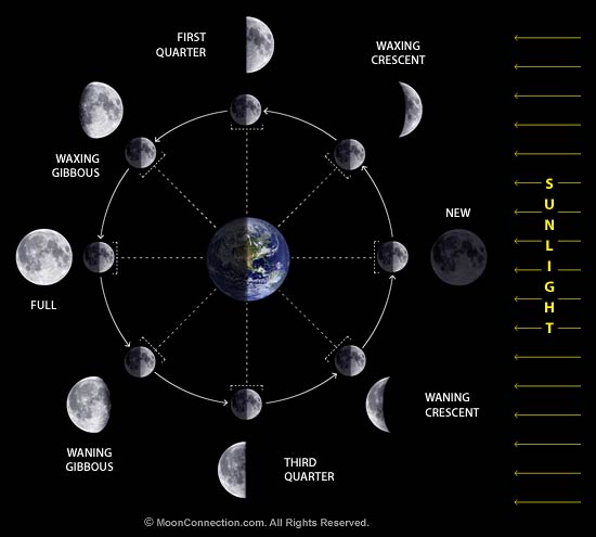 Moon Watching – Our Days & Futures